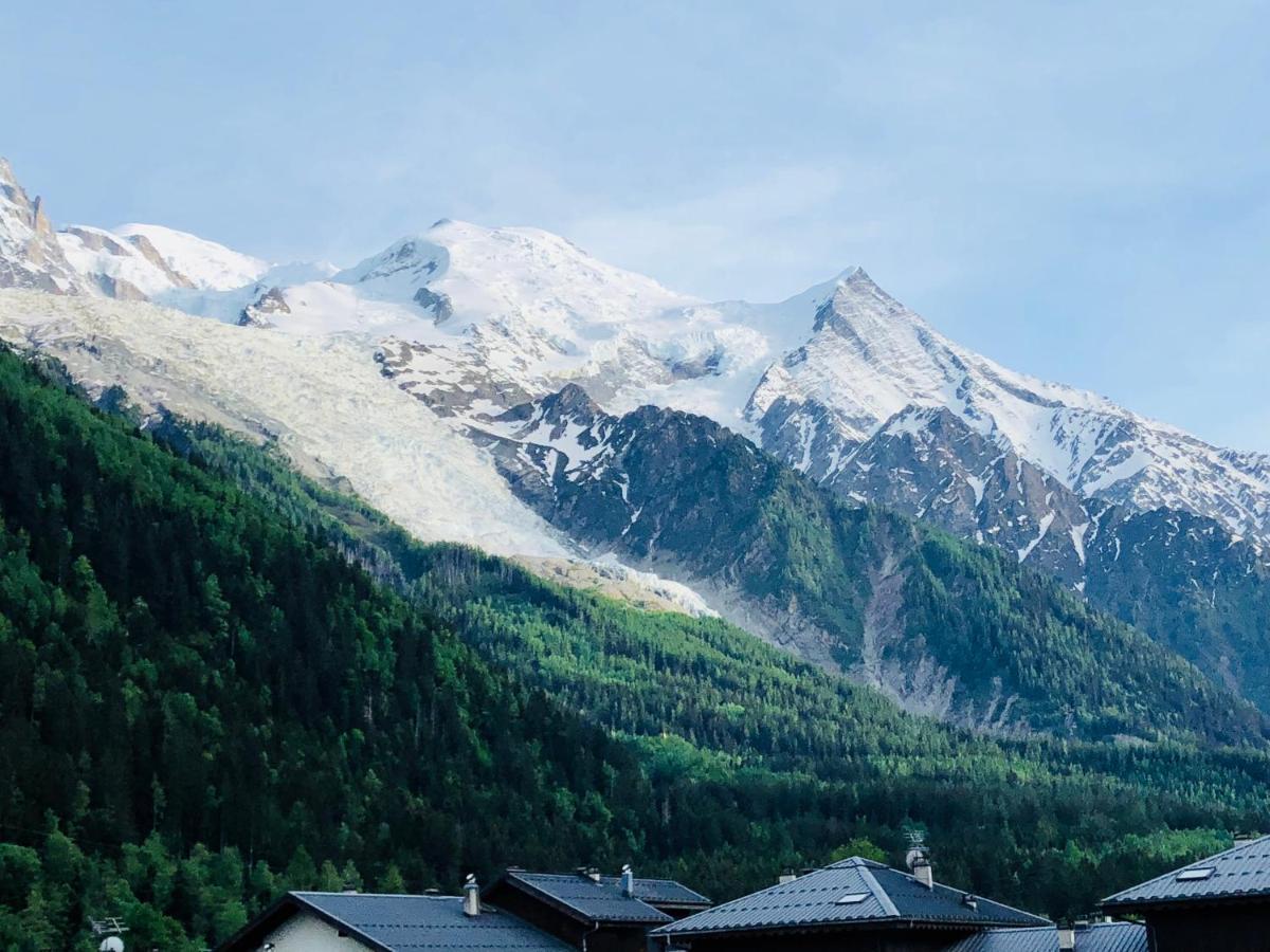Mont Blanc 43, Vue Mont Blanc , Balcon, Parking Apartment Chamonix Ngoại thất bức ảnh