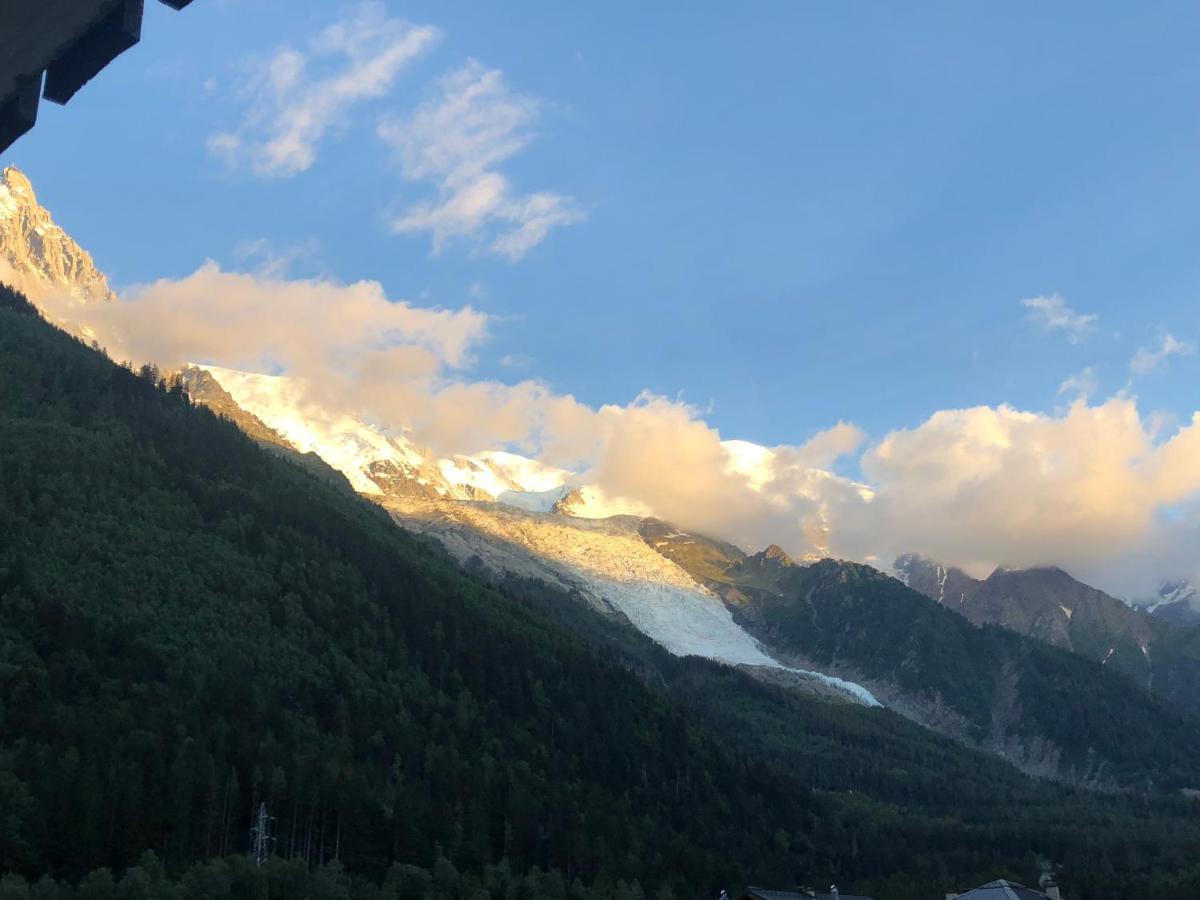 Mont Blanc 43, Vue Mont Blanc , Balcon, Parking Apartment Chamonix Ngoại thất bức ảnh