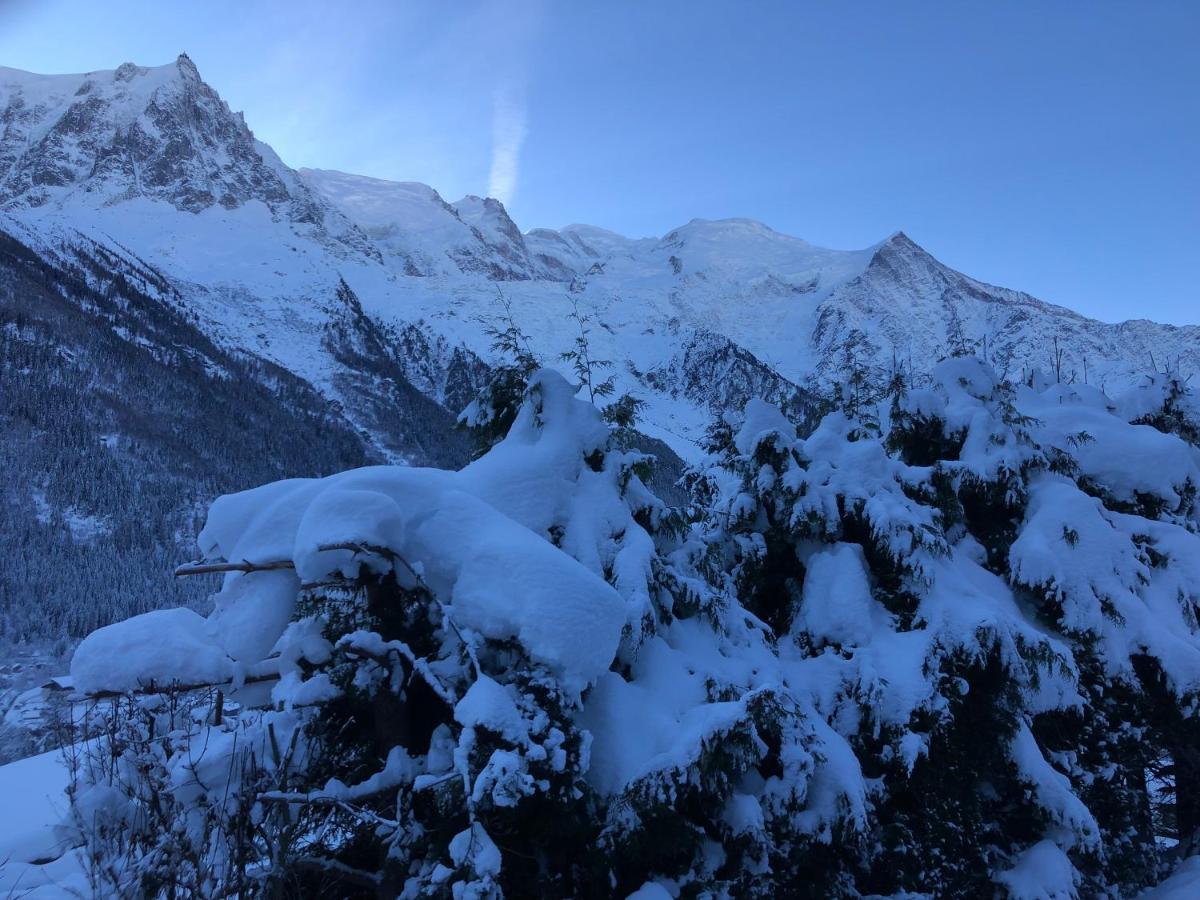 Mont Blanc 43, Vue Mont Blanc , Balcon, Parking Apartment Chamonix Ngoại thất bức ảnh