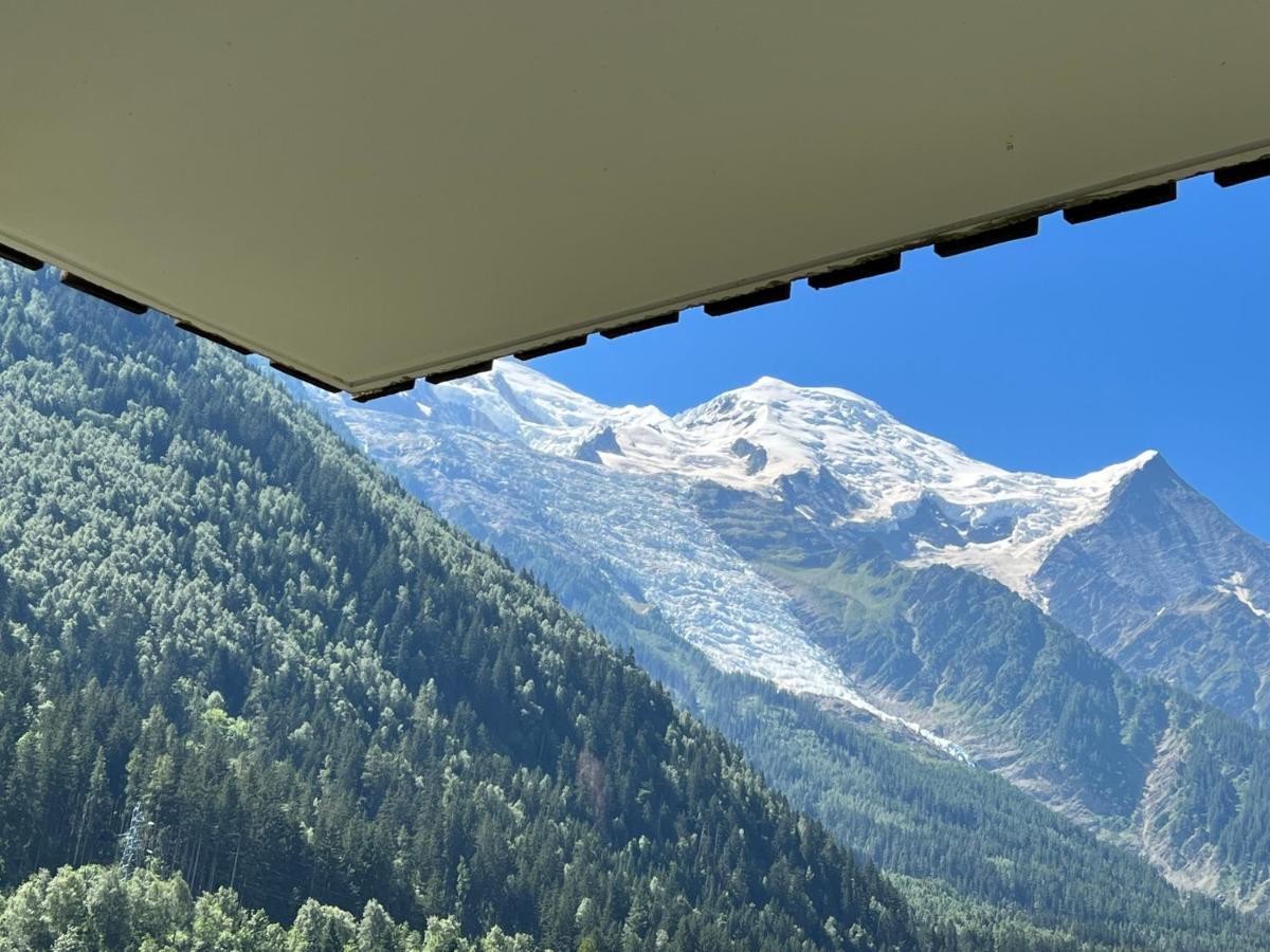 Mont Blanc 43, Vue Mont Blanc , Balcon, Parking Apartment Chamonix Ngoại thất bức ảnh