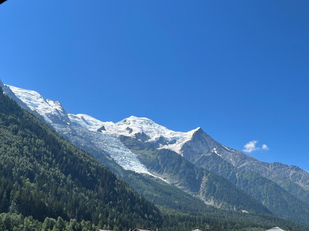 Mont Blanc 43, Vue Mont Blanc , Balcon, Parking Apartment Chamonix Ngoại thất bức ảnh